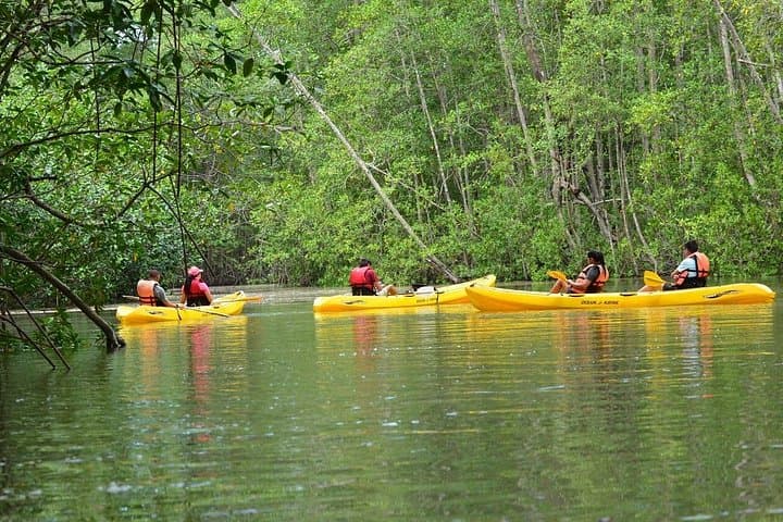 Damas Island Mangrove Kayak Tour from Manuel Antonio — Wildlife-Focused Eco Paddle photo 2
