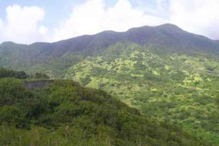 St Kitts Volcano Hike to Mount Liamuiga: Guided Summit & Coastal Views