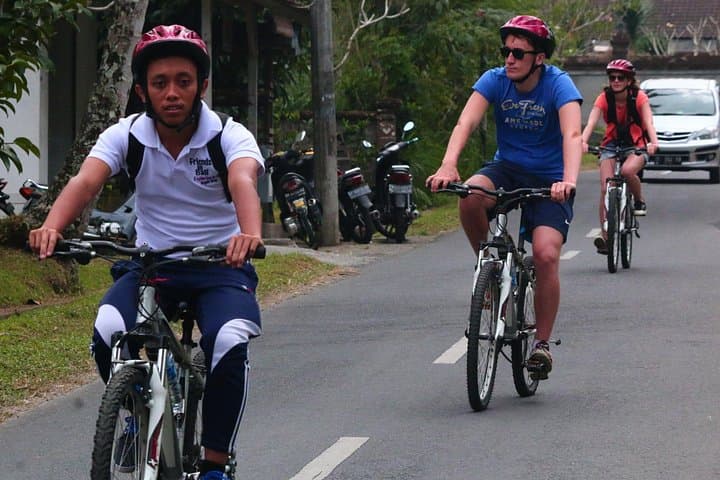 Downhill Cultural Cycling in Bali: Ubud to Mount Batur Coffee & Village Ride photo 1