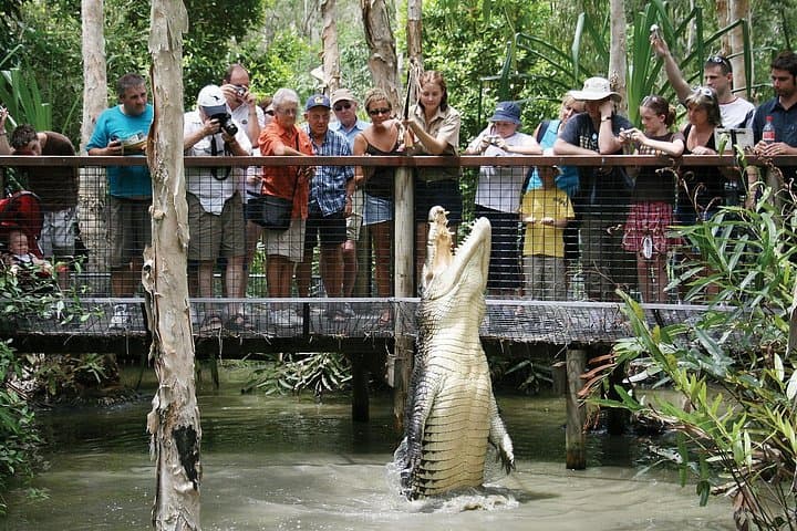 Hartley’s Crocodile Adventures: Half-Day Wildlife Cruise & Keeper Shows near Cairns photo 1