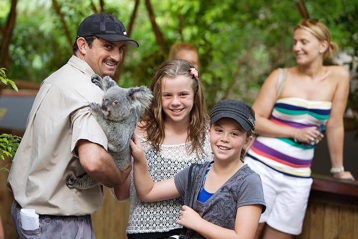 Hartley’s Crocodile Adventures: Half-Day Wildlife Cruise & Keeper Shows near Cairns photo 2