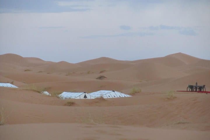 Merzouga Magic Sahara Tour: 3-Day Merzouga, Todra & Dades Adventure from Fez photo 2