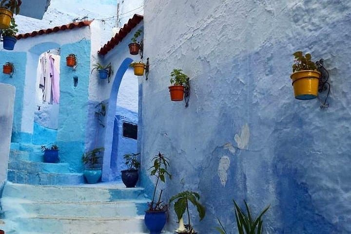 Chefchaouen Day Trip from Fes: Blue City Tour & Rif Mountain Views