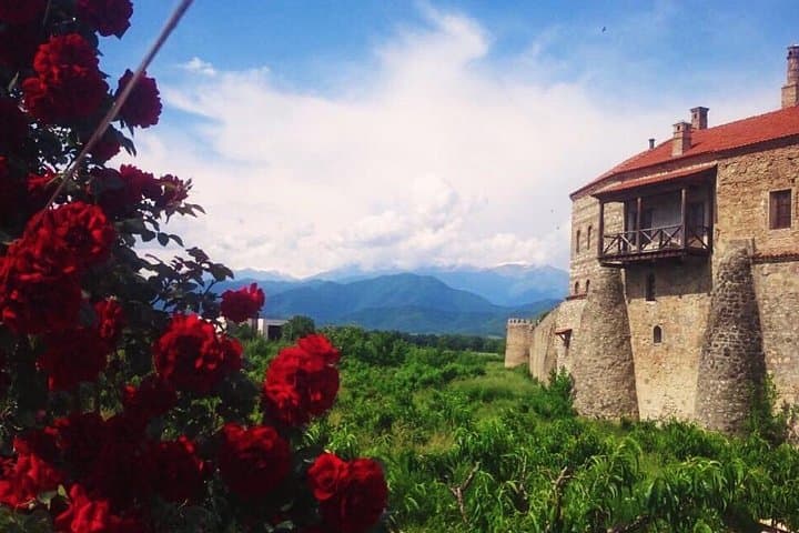 Kaheti One-Day Wine Tasting & Signagi Sightseeing Tour from Tbilisi