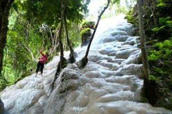 Bua Thong Sticky Waterfall, Tea Plantation & Wat Ban Den: Full-Day Private Chiang Mai Tour photo 2