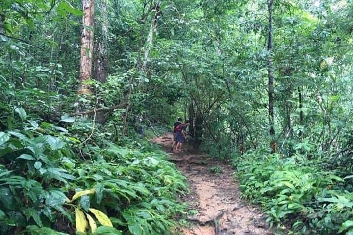 Monk Trail Trek & Doi Suthep: Chiang Mai Private Day Trek to Pha Lat Hidden Temple