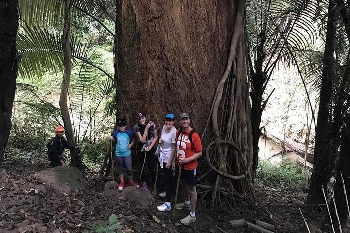 Private 3-Hour Hike North of Chiang Mai — Orchid Farm, Chiang Dao Cave & Waterfall