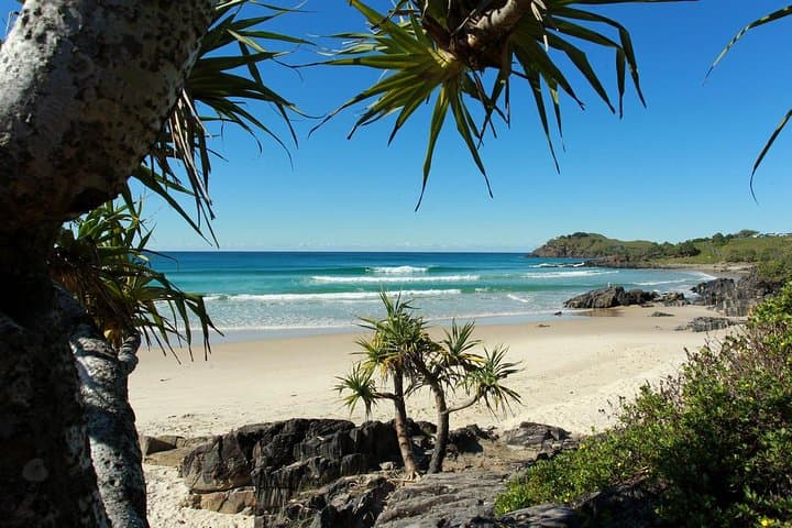 Gold Coast Full-Day Learn to Surf: Fingal Head Lessons & Whale Watching photo 3