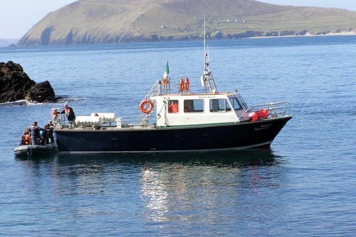 Dolphin and Whale Watching Tour from Dingle — Blasket Islands Wildlife Cruise photo 1