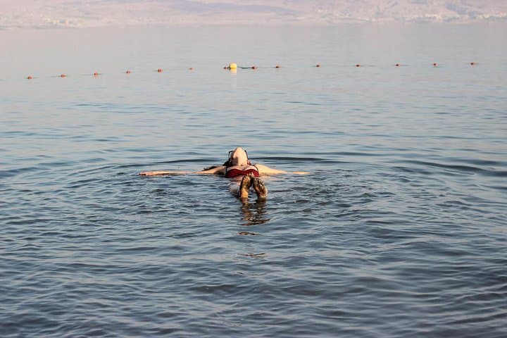 Masada, Ein Gedi & the Dead Sea: Full-Day Tour from Tel Aviv photo 3