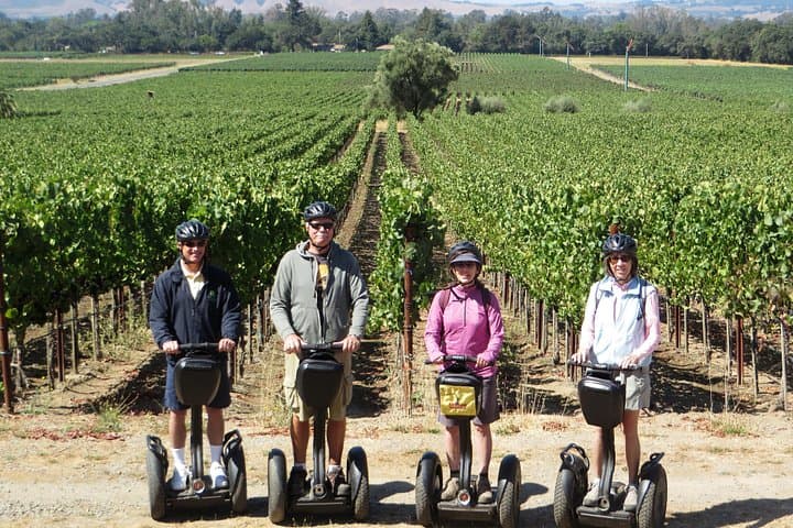 Glide Through Sonoma: Wine Country Segway Tour of California's Oldest Wineries photo 1