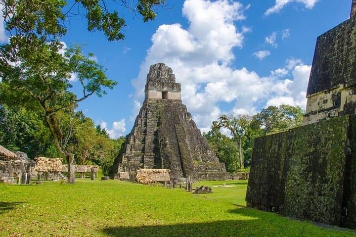 One-Day Tikal Tour from Antigua: Flight, Jungle Trek & Maya Pyramids photo 5