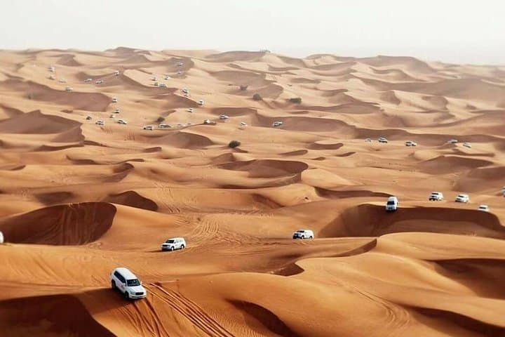 Red-Dune Desert Safari Dubai: Evening Dune Bashing, Camel Ride & BBQ photo 2