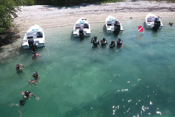 Key West Safari: Eco Sandbar Snorkel & Mini-Boat Adventure photo 3