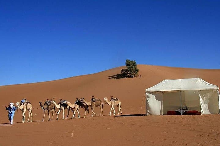 Marrakech to Merzouga: 3-Day Private Sahara Tour with Camel Trek & Desert Bivouac photo 2
