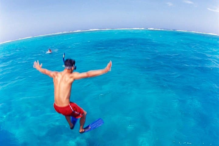 Cades Reef Snorkel Cruise from St. John's — Antigua's Top Snorkel & Beach Lunch photo 2
