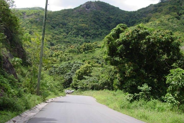 Island Safari Adventure from St. John's — Half-Day Off‑Road Tour in Antigua photo 3