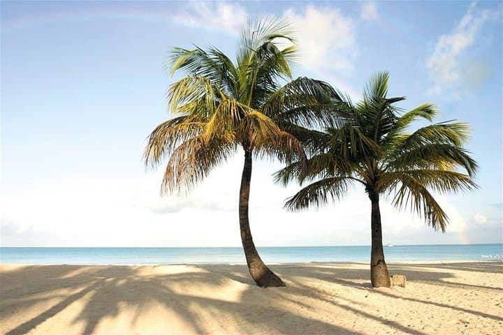 Explore Antigua’s Stunning Beach Crawl: Long Bay, Devil's Bridge & Pigeon Point