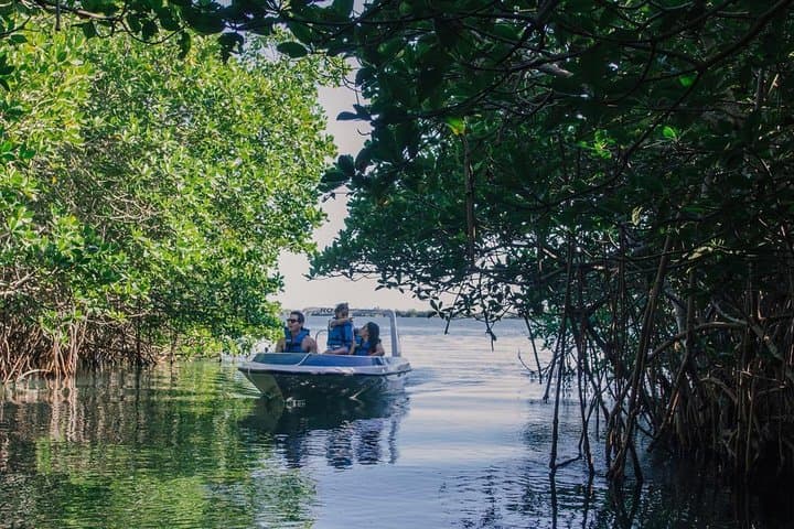 Cancún Mangrove Channel Speedboat Tour through Nichupté Lagoon