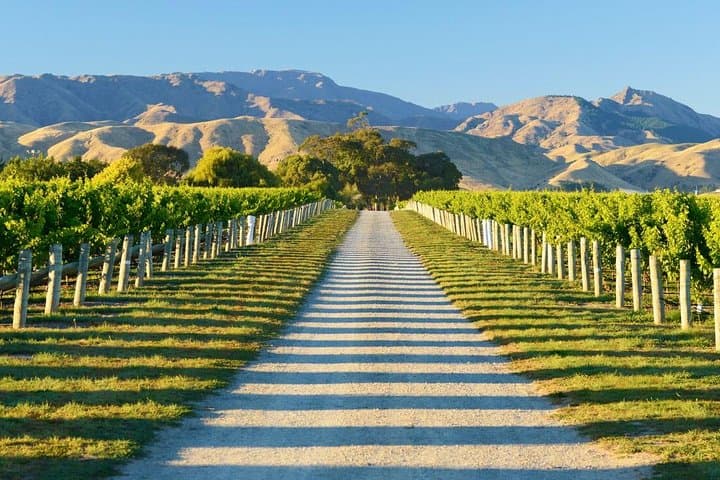 Full-Day Marlborough Wine Tour: Tastings & Cellar Doors in Blenheim and Picton photo 4