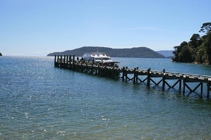 Full-Day Marlborough Catamaran Cruise and Wine Tour from Picton photo 1