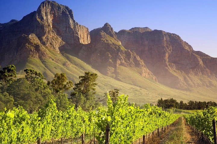 Explore the Cape Winelands: Private Full-Day Wine Tour from Cape Town