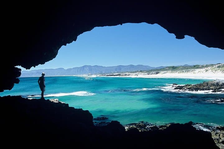 Shark Cage Diving Day Trip to Gansbaai from Cape Town — Full-Day Adventure photo 4