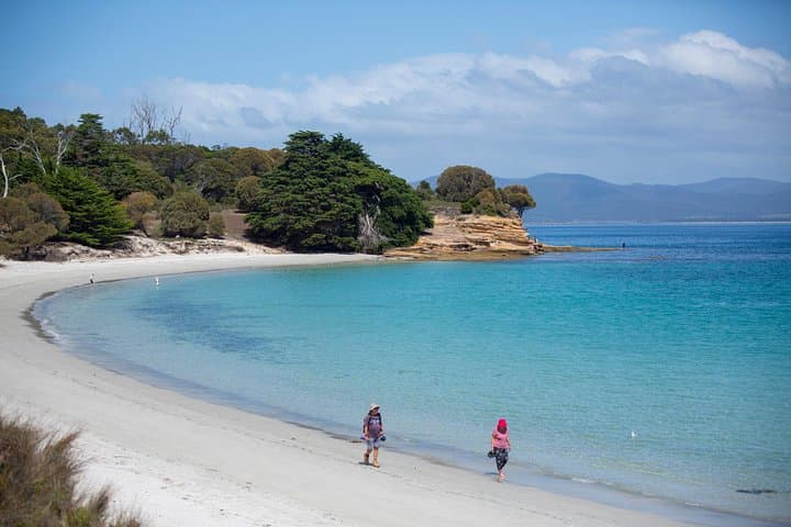Maria Island Day Trip from Hobart: Painted Cliffs, Fossil Cliffs & Wildlife