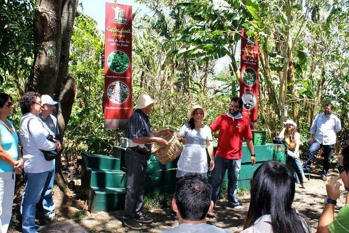Private Britt Coffee Plantation Tour from San José — Classic Coffee Tasting & Lunch photo 4