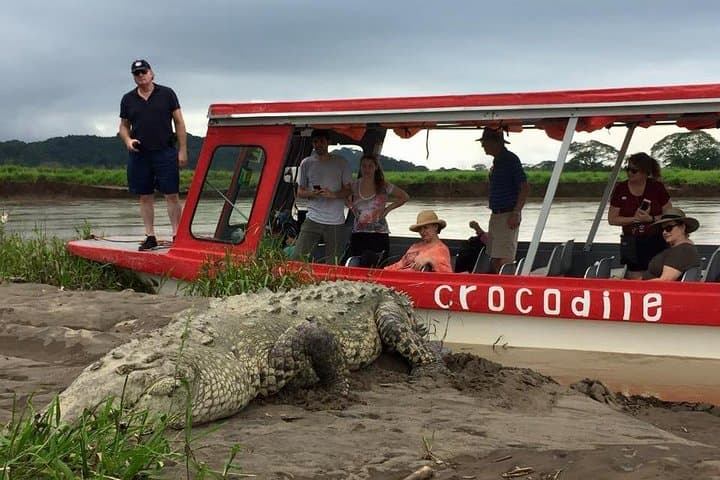 Puntarenas 6-in-1 Shore Excursion — Tarcoles Crocodiles, Villa Lapas Rainforest & City Tour
