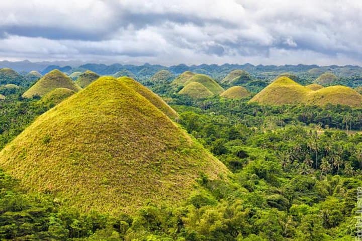 Full-Day Bohol Excursion from Cebu: Chocolate Hills, Loboc River & Historic Churches