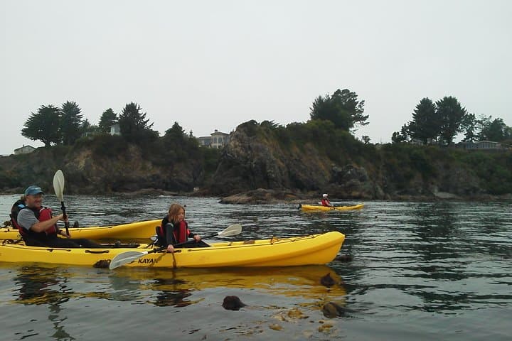 Paddle Brookings: Ocean Kayak Tour at the Chetco River Mouth photo 2