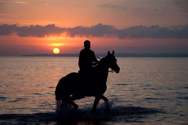 Sunset Beach Horseback Riding in Puerto Plata — Ride the Waves at Bergantín Beach photo 1