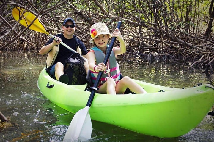 Guided Kayak Backwater Tour — Cocoa Beach Thousand Islands Manatee & Dolphin Experience photo 3