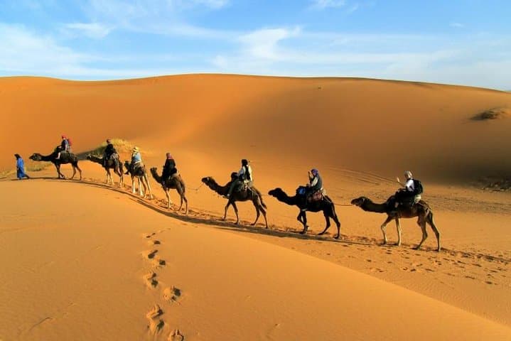 Zagora Desert 2-Day Tour from Marrakech: Camel Trek & Berber Camp Experience