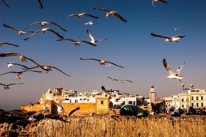 Essaouira Mogador Day Trip from Marrakech: Private Full-Day Coastal Tour photo 1