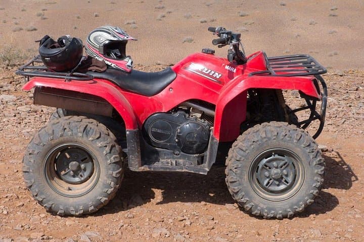 Palmeraie Marrakech Quad Bike Adventure — 3-Hour ATV Tour with Berber Tea photo 1
