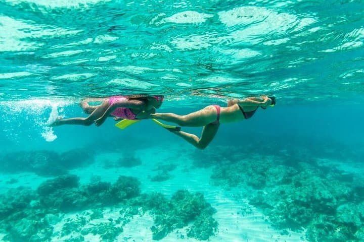 Aruba Half-Day Snorkel Sail: Antilla Shipwreck, Catalina & Malmok with Lunch photo 4