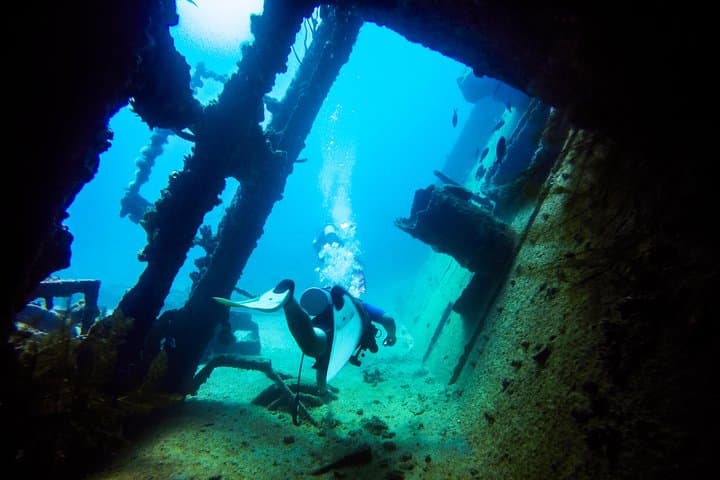 Aruba Night Dive: Guided Shipwreck & Shallow Reef Night Dive Experience photo 6