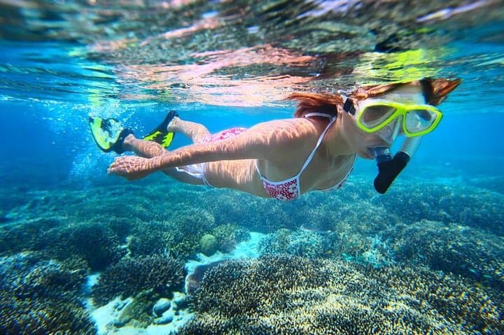 Sailing Sint Maarten: Full-Day Eco Snorkel to Tintamarre & Creole Rock photo 2