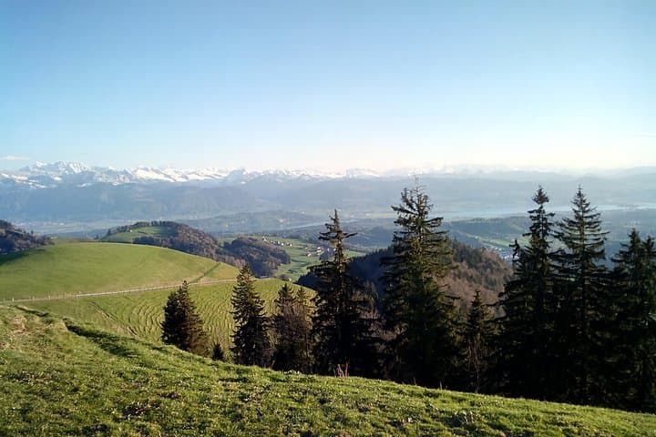 Quad Touring Zurich Oberland: 4-Hour ATV Adventure with Alpine Views