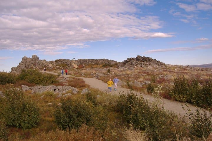 Exploring Alaska’s Midnight Sun: A Day-Long Arctic Circle Drive Adventure photo 2