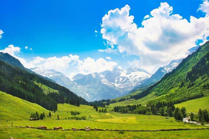Eagle's Nest Day Tour from Munich — Kehlsteinhaus & Berchtesgaden Alps photo 3