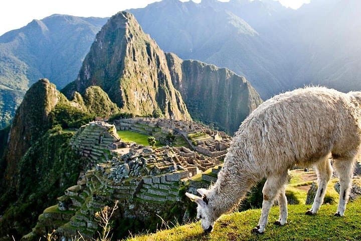 Lares Trek 4-Day: High Andean Passes, Quechua Villages & Machu Picchu photo 2