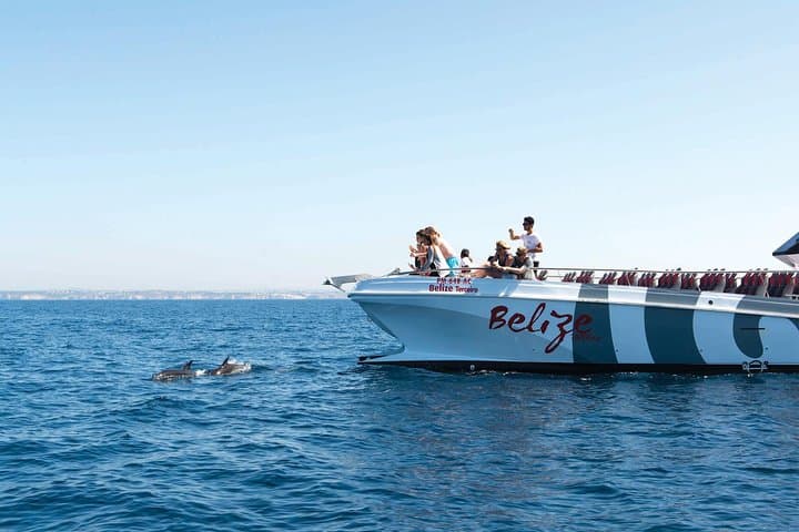 Dolphin Watching and Cave Cruise from Albufeira — Algarve Boat Tour