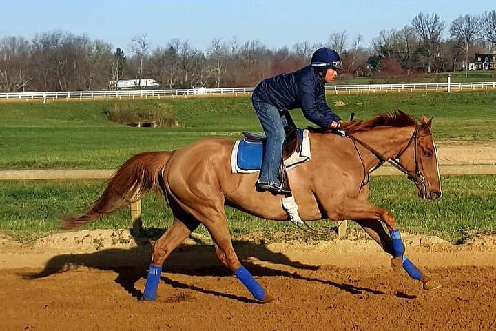 Behind the Scenes Thoroughbred Tour at The Thoroughbred Center, Lexington