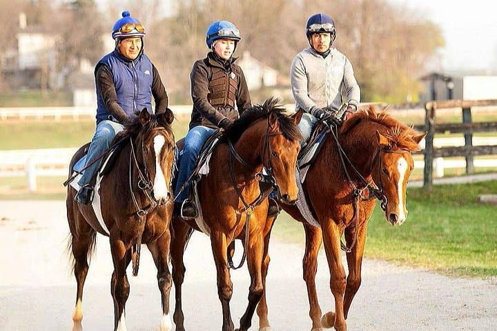Behind the Scenes Thoroughbred Tour at The Thoroughbred Center, Lexington photo 2