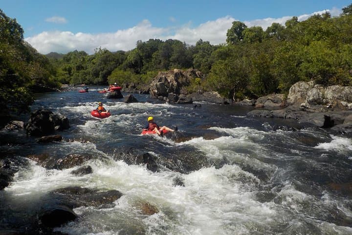 Mulgrave Rainforest River Tubing from Cairns — 4.5‑Hour River Tubing Adventure photo 6