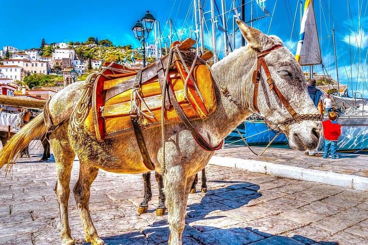 Saronic Islands Day Cruise: Hydra, Poros & Aegina from Athens photo 4