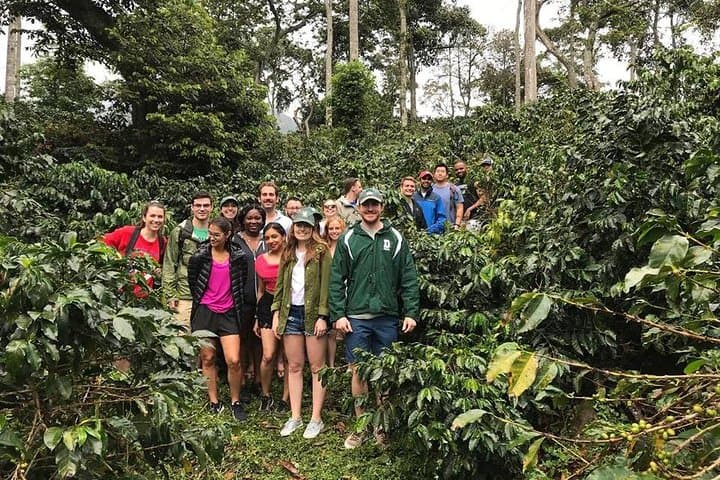 Medellín Coffee Express & Exotic Fruit Market Tour — Coffee Farm Visit and La Minorista